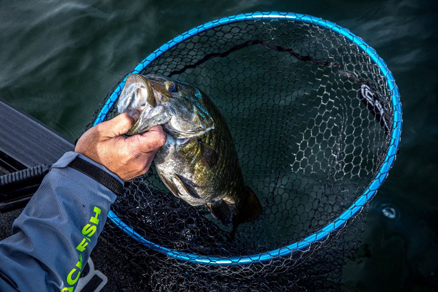 Fortis Coated Replacement Net