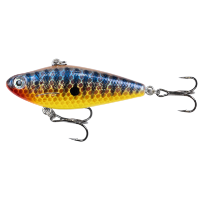 Mud Minnow