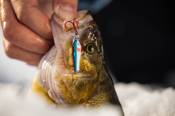 Clam Pro Tackle Releases New Pinhead And Jointed Pinhead Pro